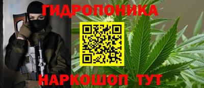 твердый Заводоуковск